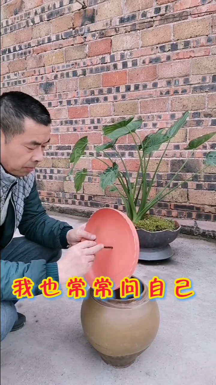 自制水泥花盆