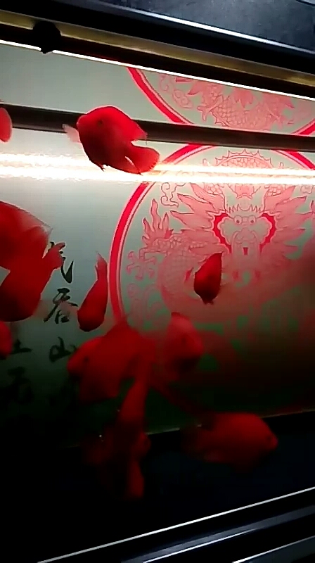 #欢乐幸福年#