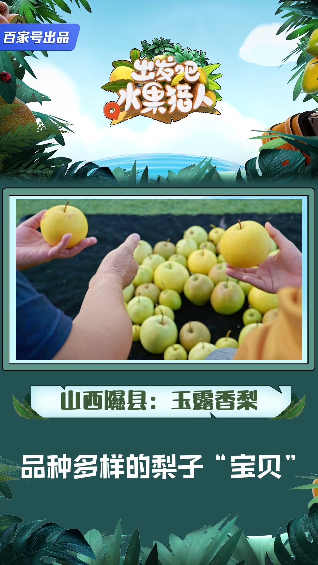 #出发吧水果猎人#品种多样的梨子宝贝