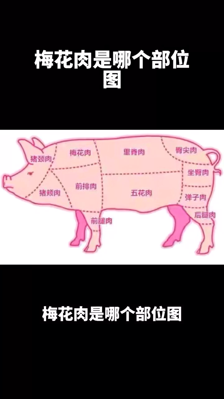梅花肉是哪个部位图