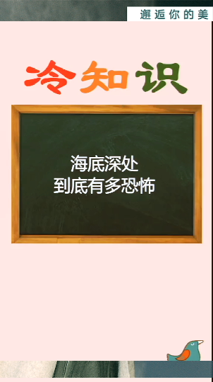 #冷知识大全#海底最深处,你知道是什么吗冷知识