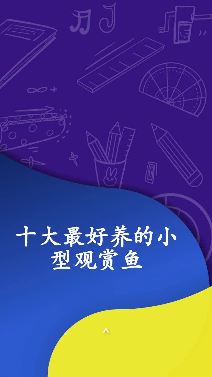 十大最好养的小型观赏鱼