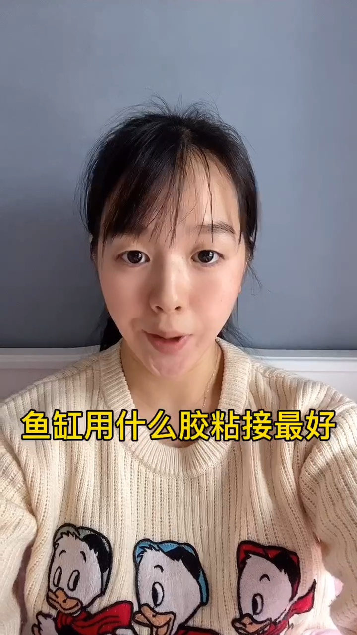 鱼缸用什么胶粘接最好