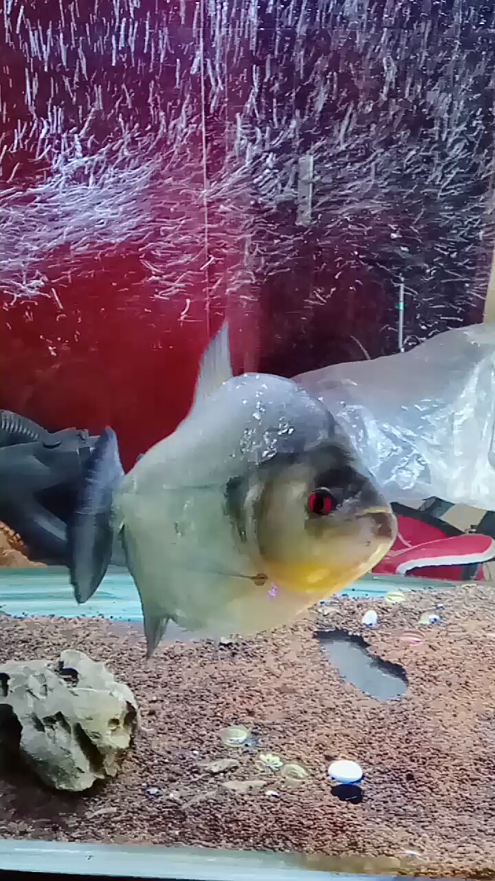 分享视频
