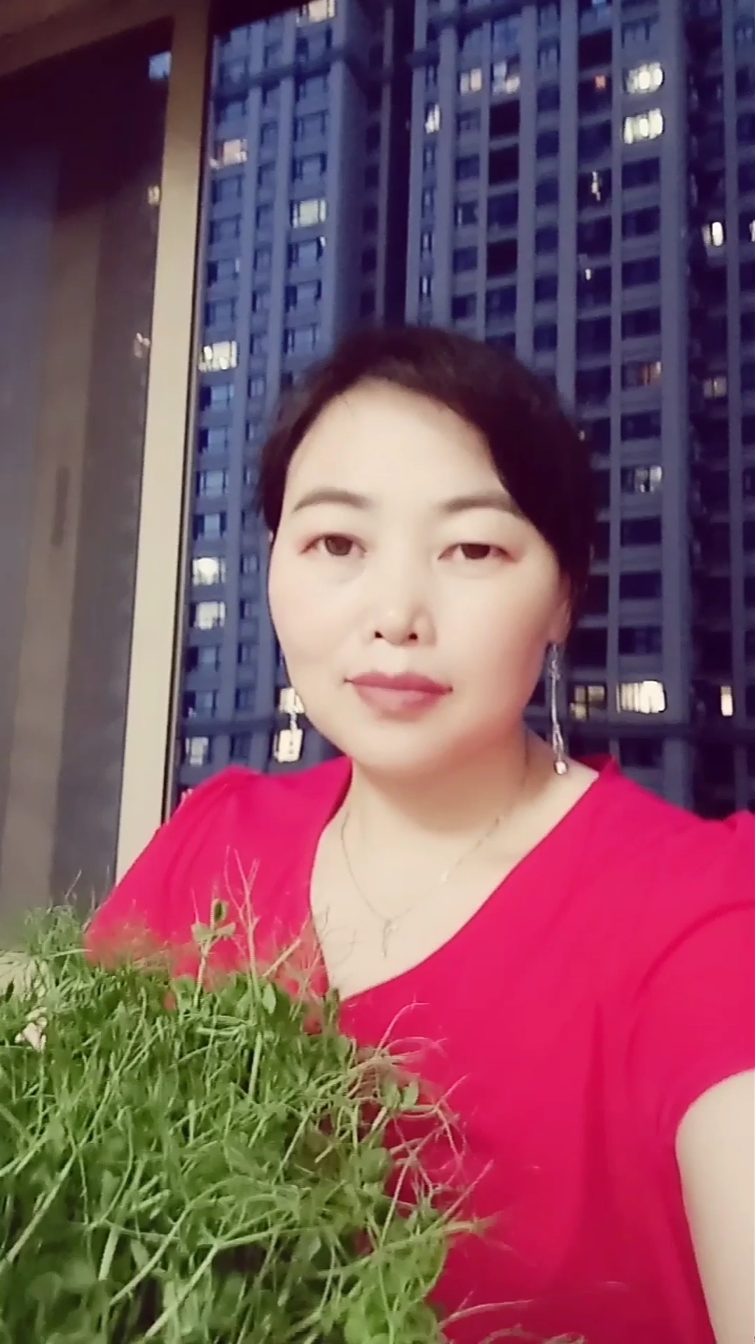 我的纸上种菜~豌豆苗!