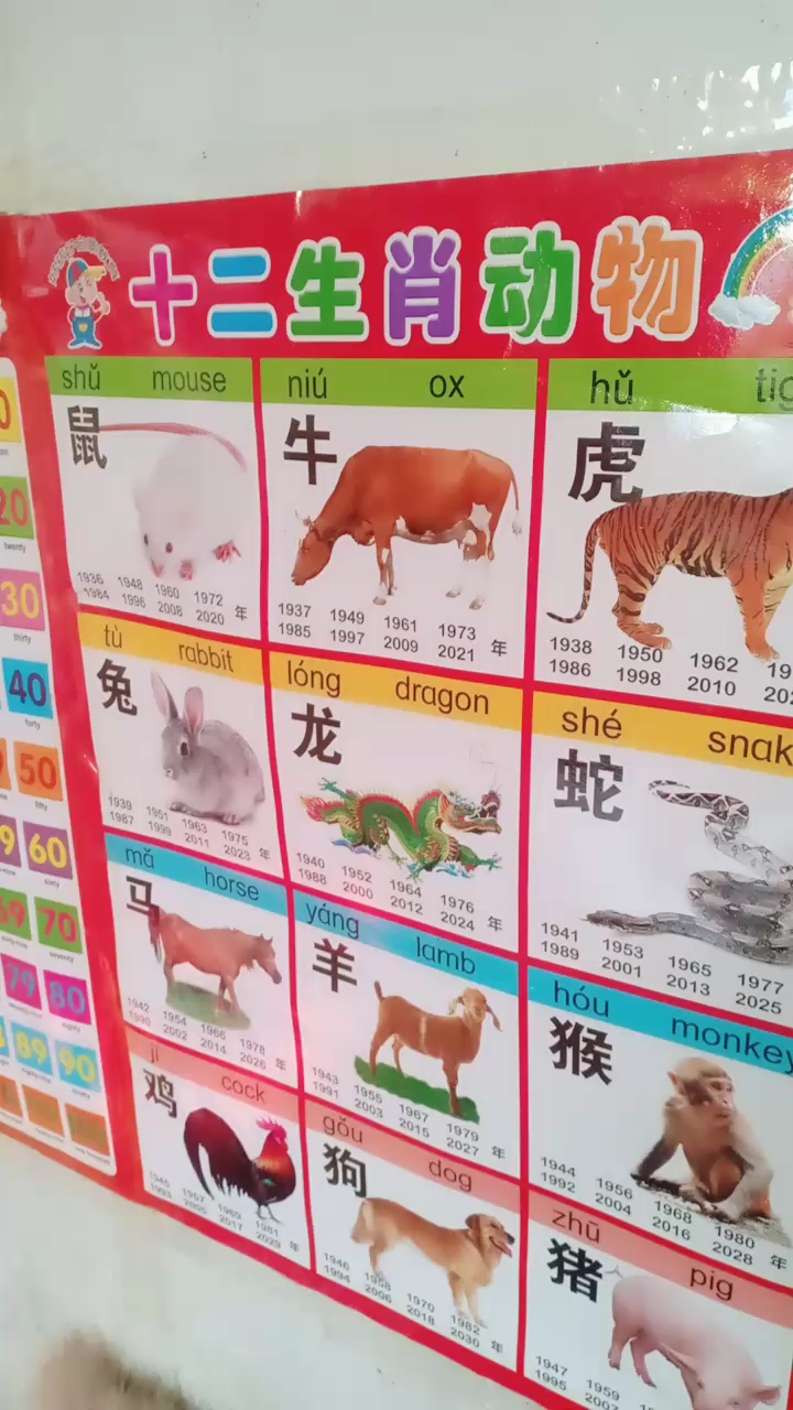 十吕生肖动物。牛虎。龙蛇。猴猪