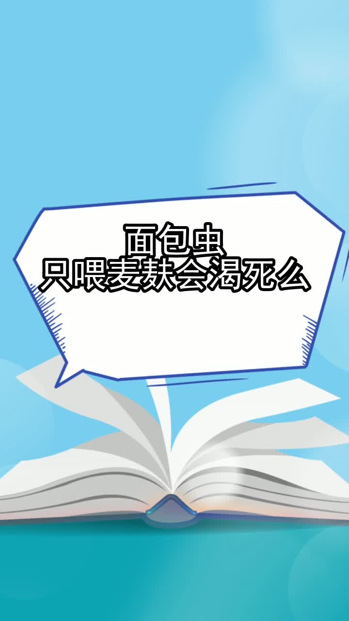 面包虫只喂麦麸会渴死么,你学会了吗
