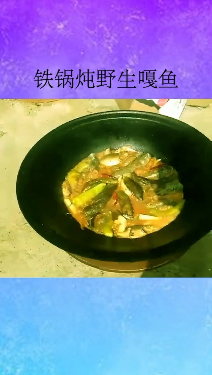 铁锅炖野生嘎鱼,怎么样?想吃吗?