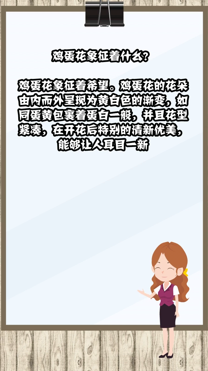 鸡蛋花象征着什么?