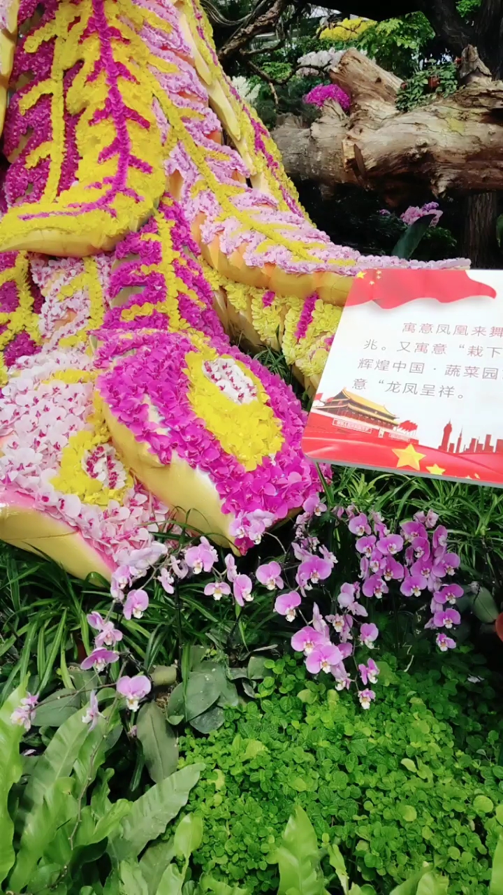 苍山菜博园