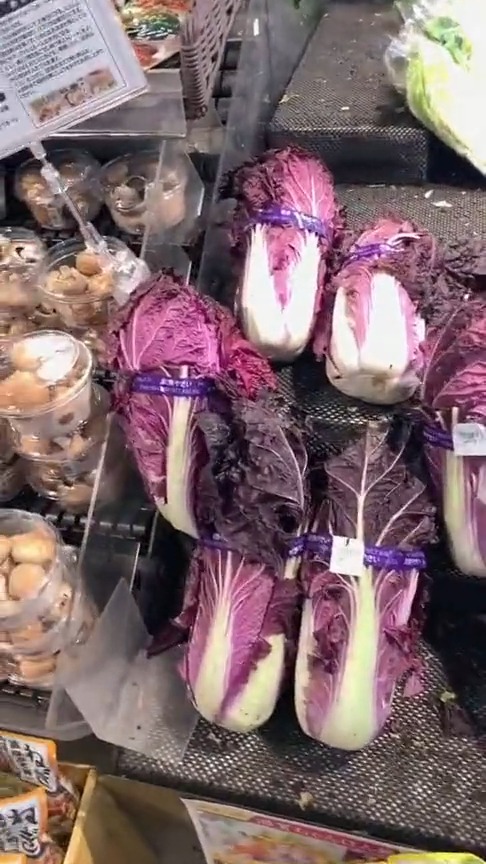 日本的紫白菜,可以生吃却不能煮,你觉得这价格合理吗