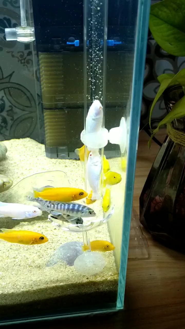 然后咋出来!