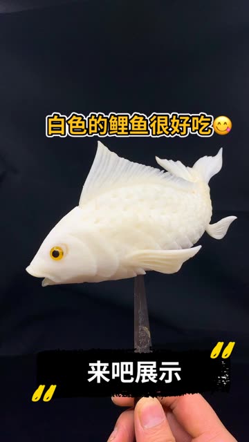白色的鲤鱼好看还是染色的好看,家人们评论区说一下,我有点蒙
