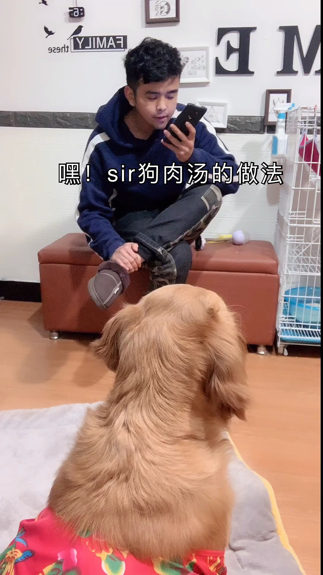 当着狗子面听狗肉汤