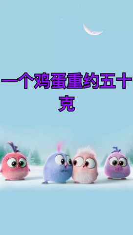 几个鸡蛋500克