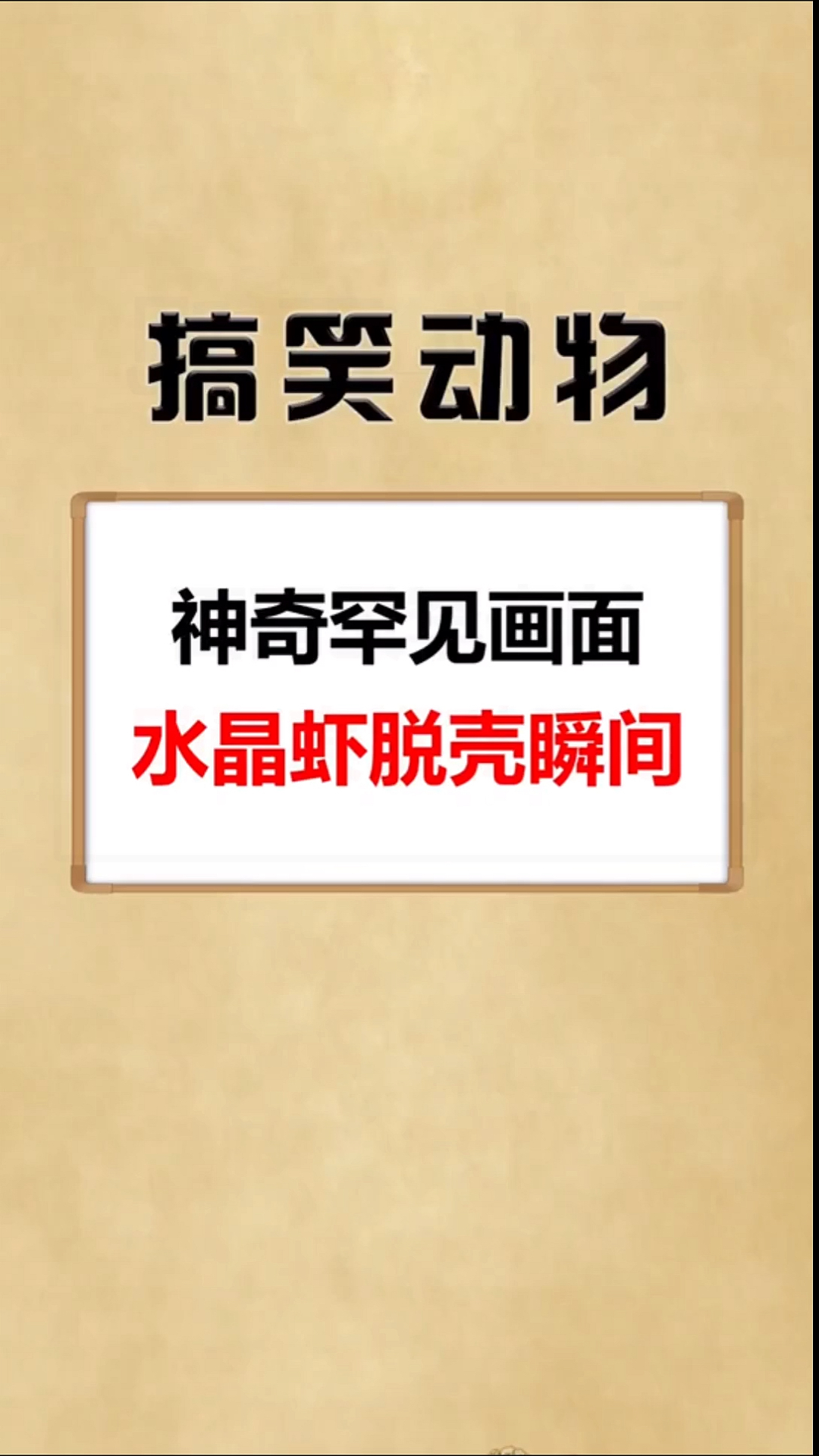 #我家萌宠成精了#这是放了个屁?