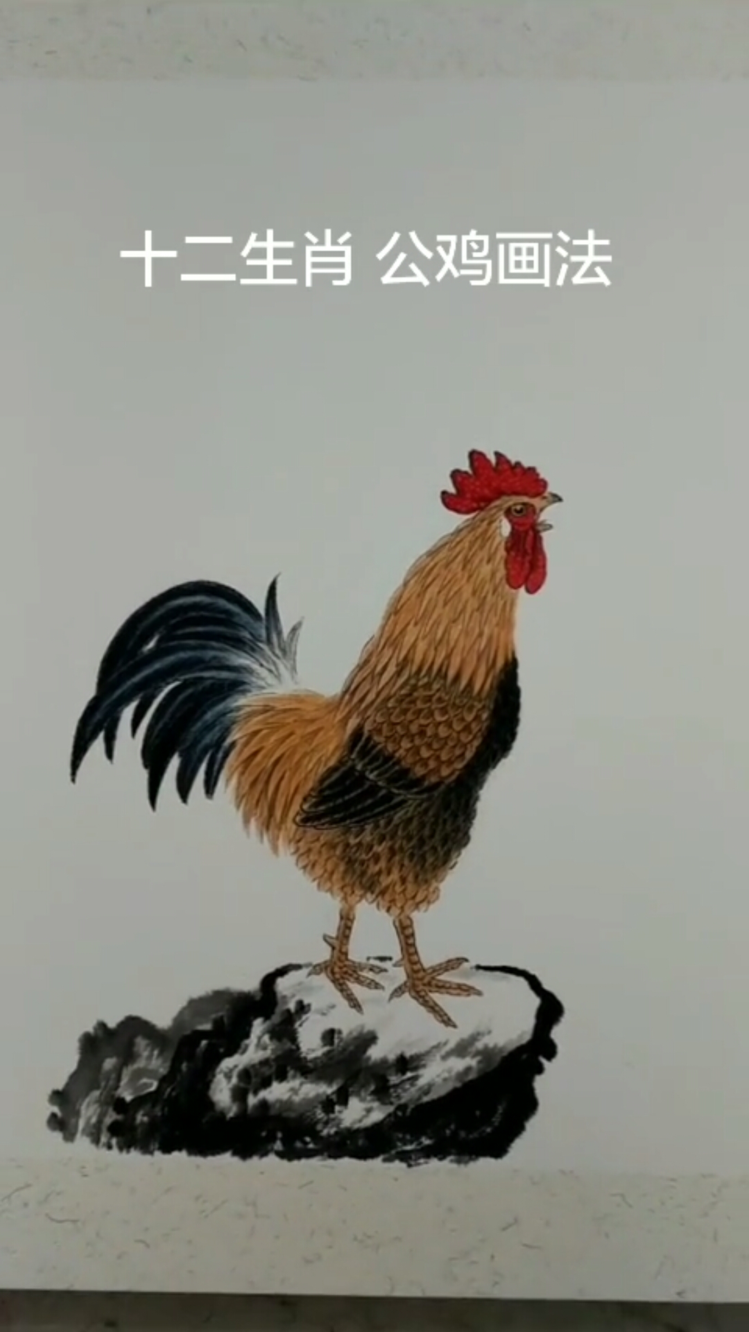 #中国画#国画入门,公鸡画法