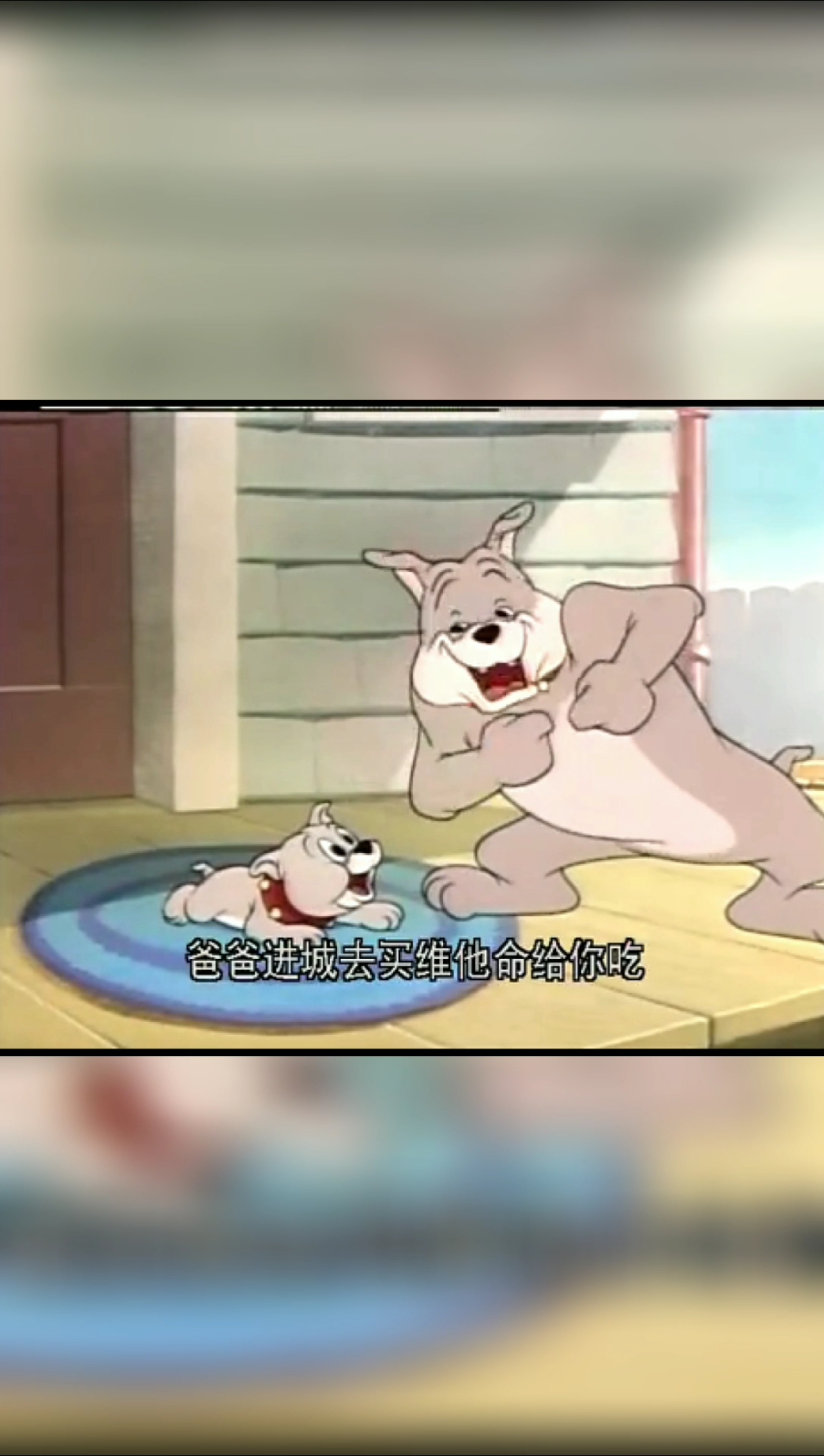 #猫和老鼠#狗狗跟猫猫发生了什么大事情