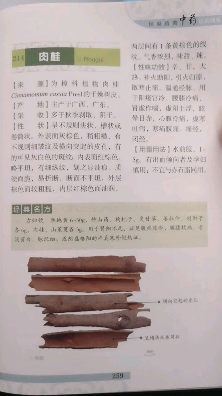 @全民小助手 肉桂～有出血倾向者及孕妇慎用