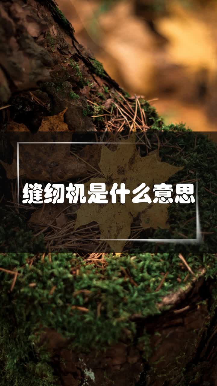 缝纫机是什么意思