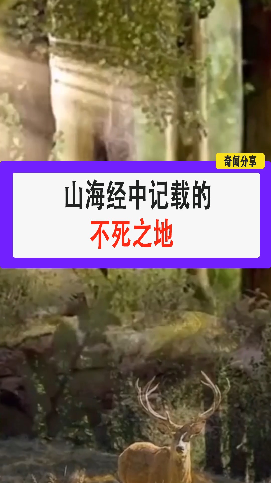 #四脚吞金兽#山海经中记载的不死之地