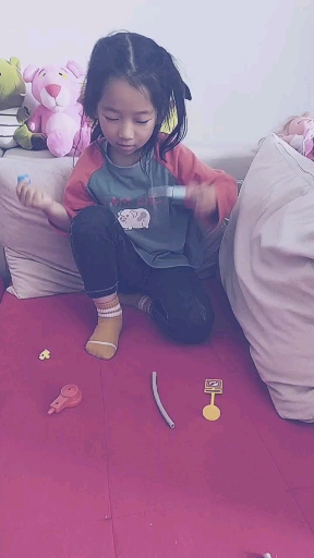 非要养小鸡仔,弄个玩具养养吧