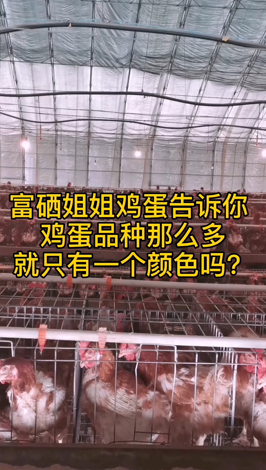 鸡蛋品种多只有一种颜色吗?