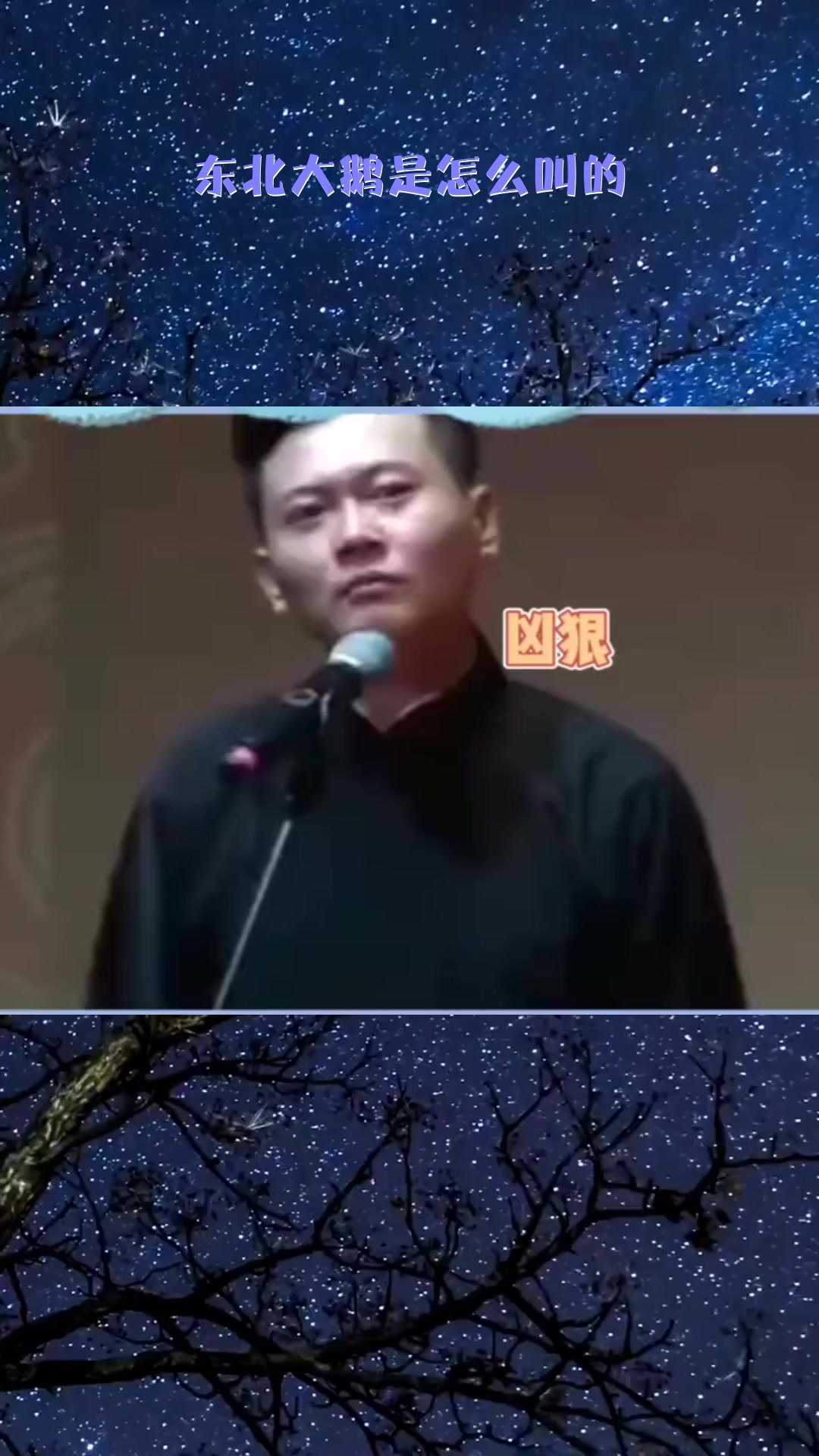 #搞笑段子#东北大鹅是怎么叫的
