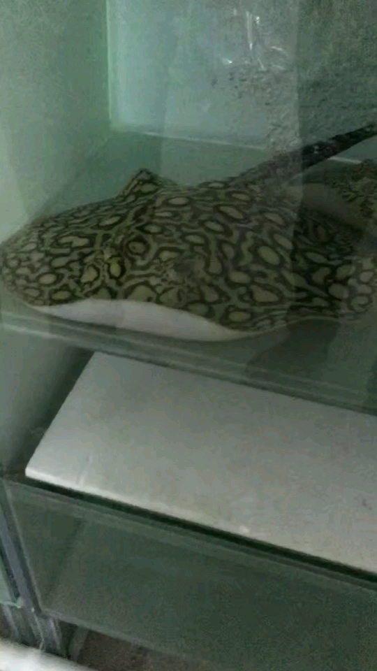 分享视频