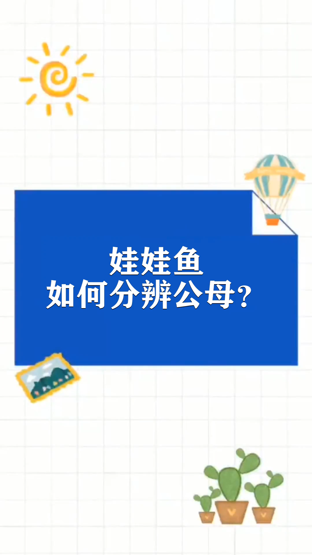 娃娃鱼怎么分公母