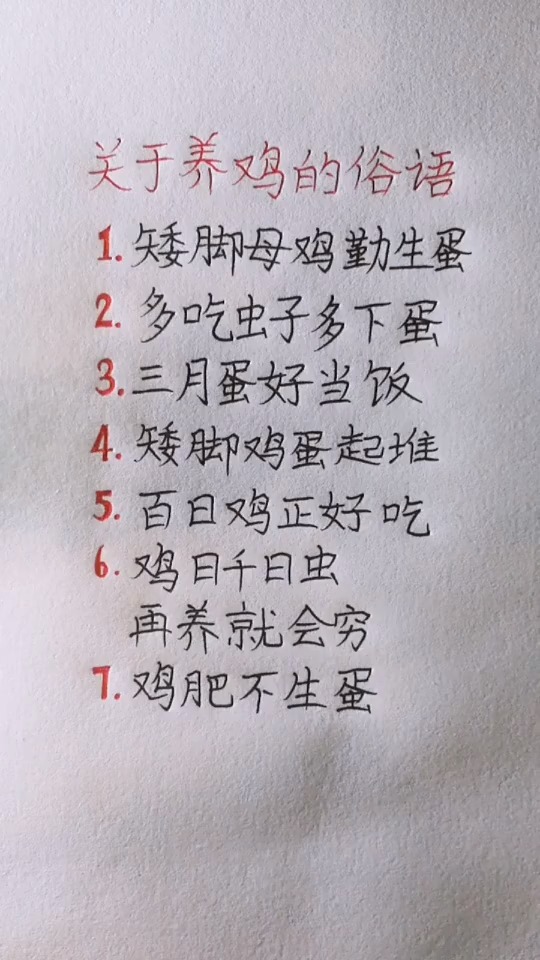 关于养鸡的俗语