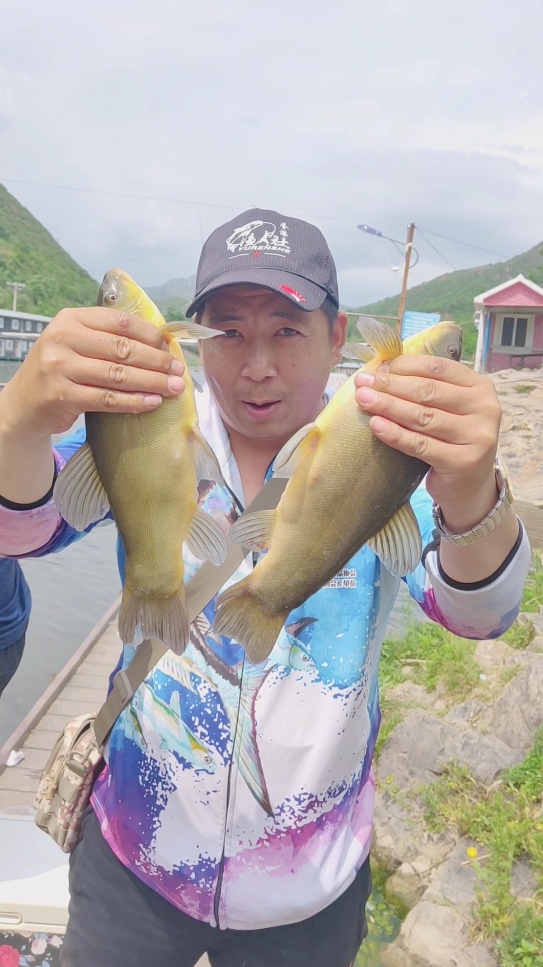 #端午#三坡湖二十二种鱼之一丁桂鱼。