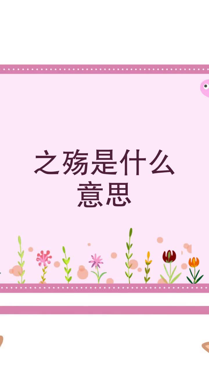 之殇是什么意思