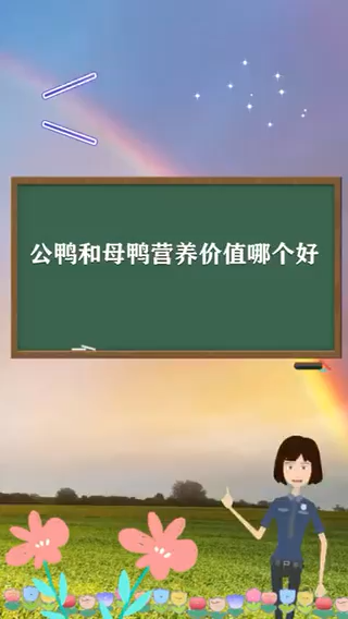 公鸭和母鸭营养价值哪个好