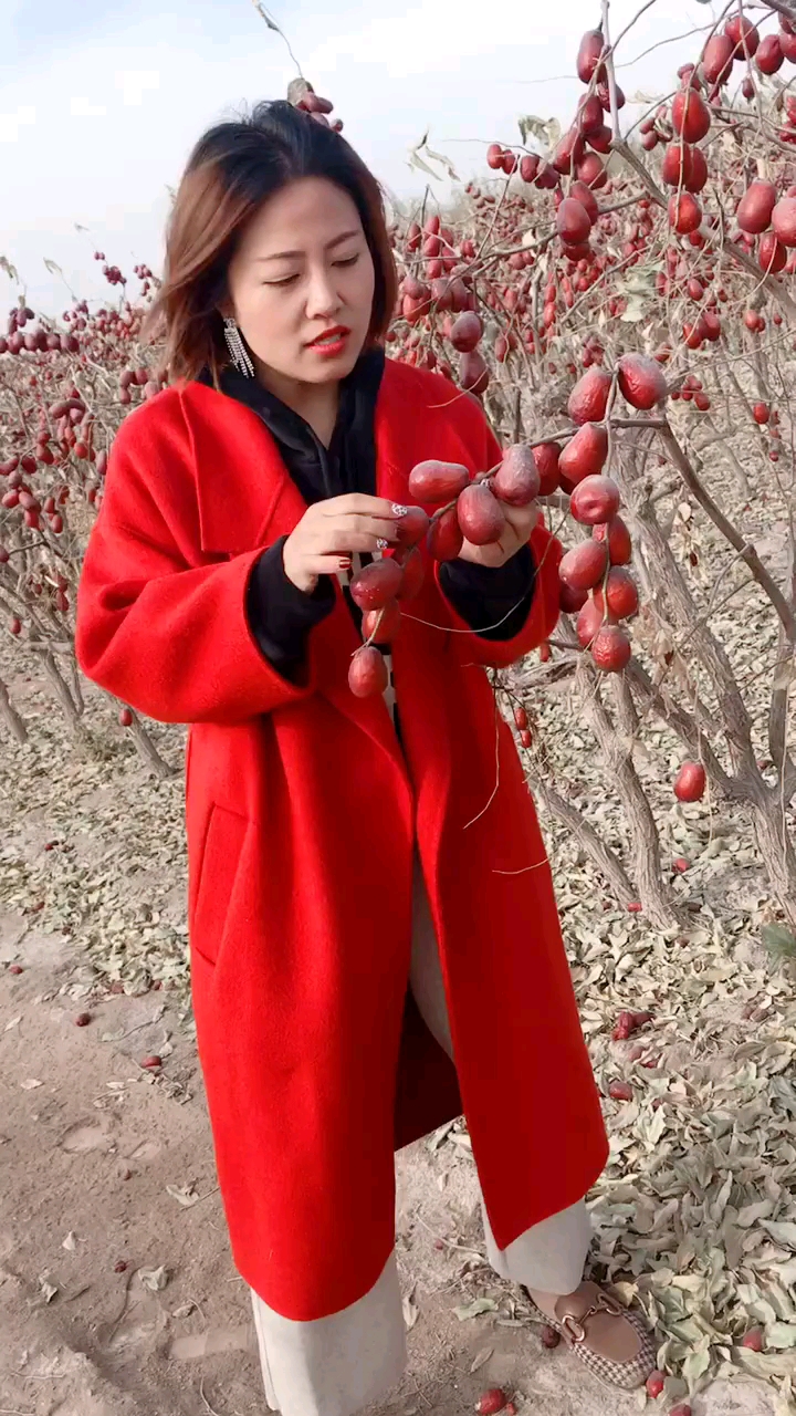 都来我家吃红枣