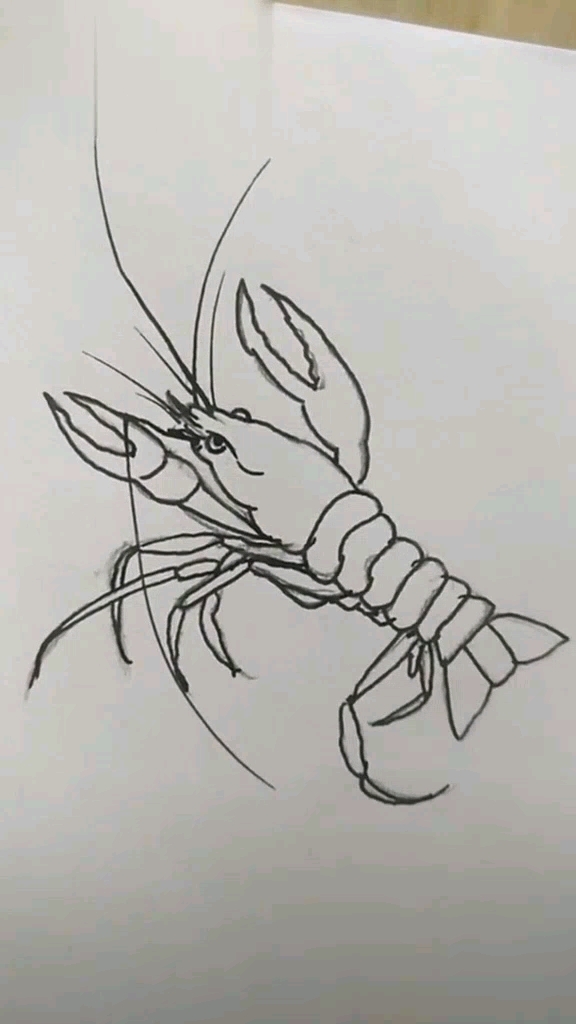 简笔画小龙虾