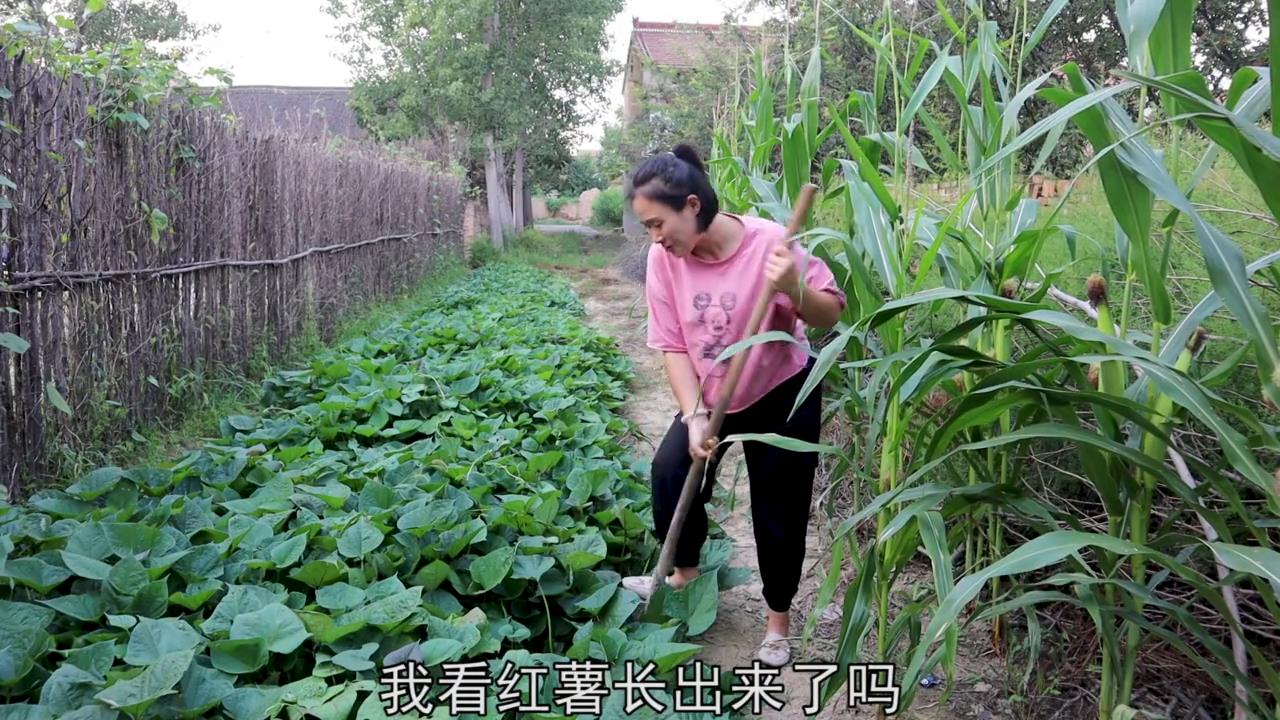 干锅鸡块,麻辣开胃!超美味!超下饭!超解馋!#美食趣味计划