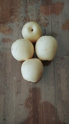 #入门英语单词#梨用英语怎么说?