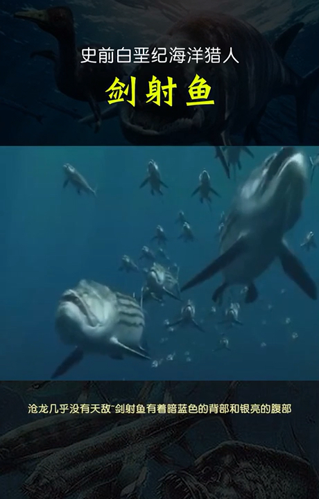 #节后综合症#白垩纪海洋猎手_剑射鱼，喜欢记得双击关注留下小爱心