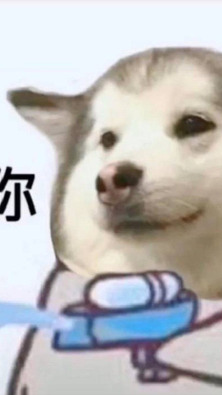 #情侣头像#搞笑沙雕情侣头像,换上这些你就这条街最靓的崽