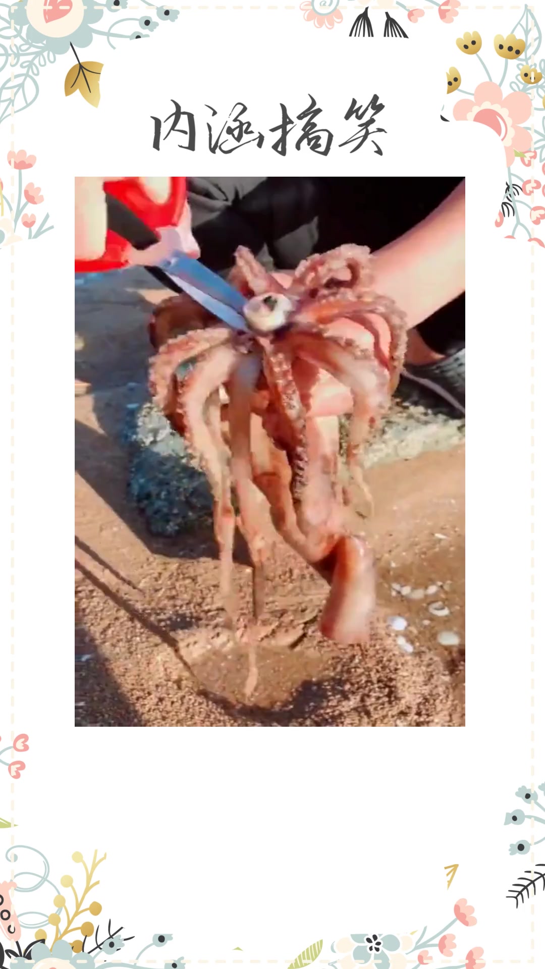 #搞笑段子#这真的是太残忍了,鱿鱼解剖之后,内部居然是这样的!