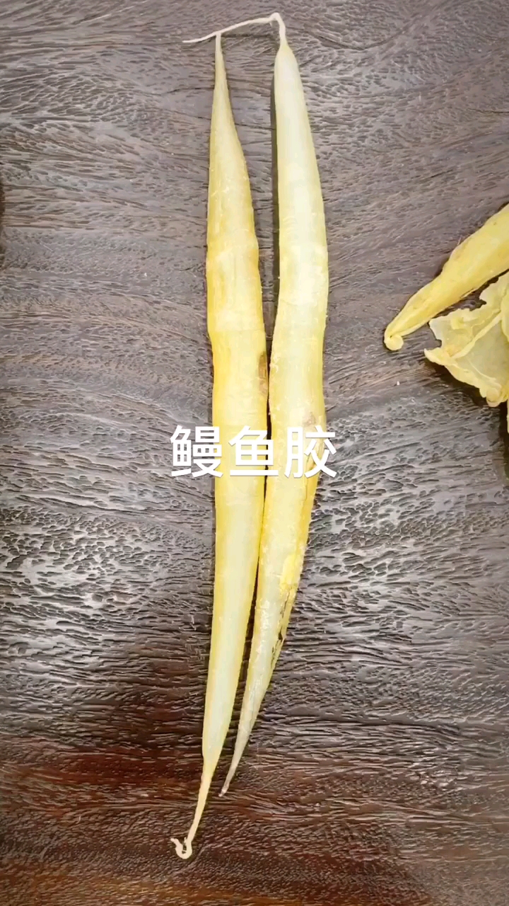 各种各样的鱼胶。