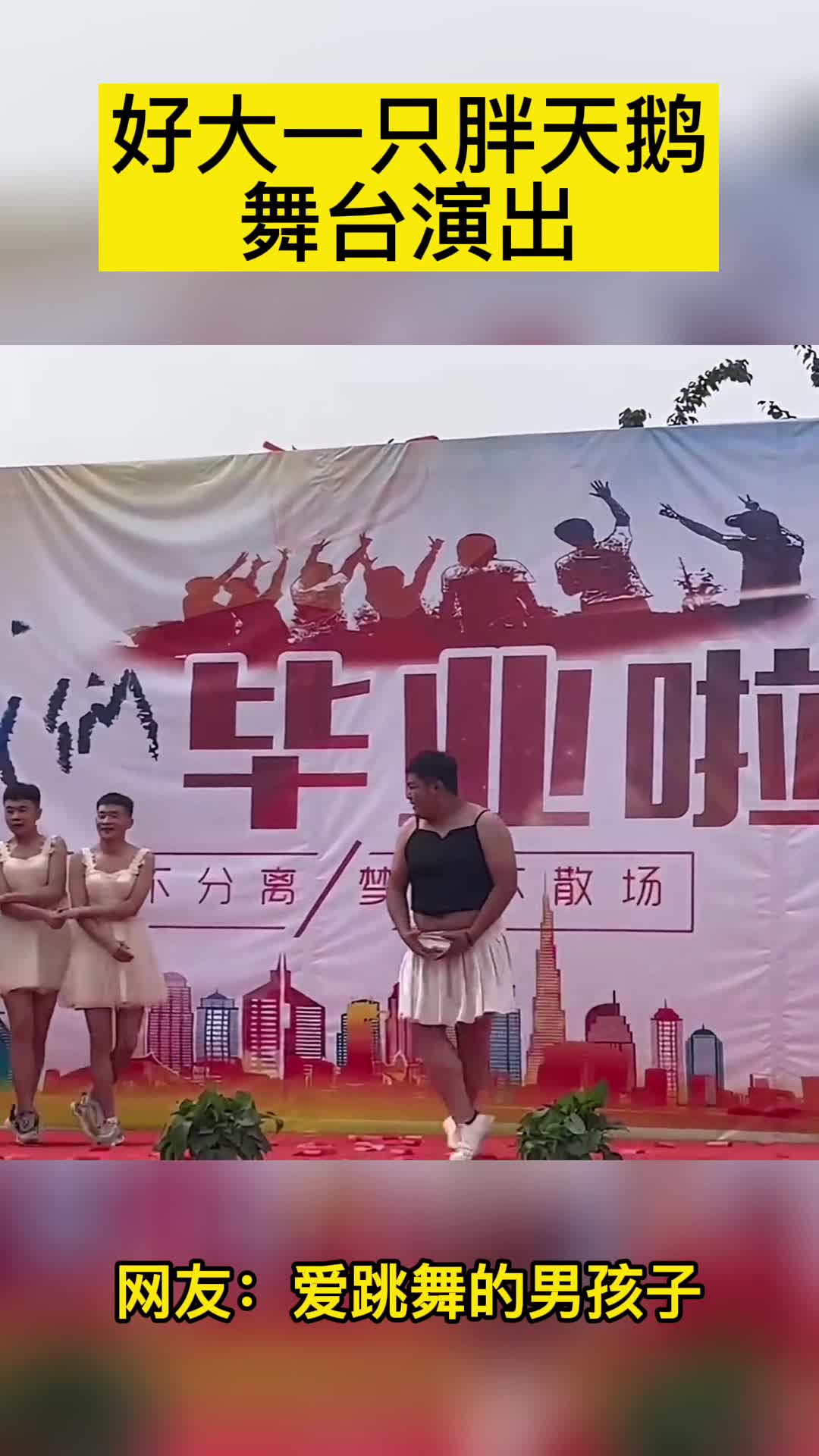 好大一只胖天鹅舞台演出