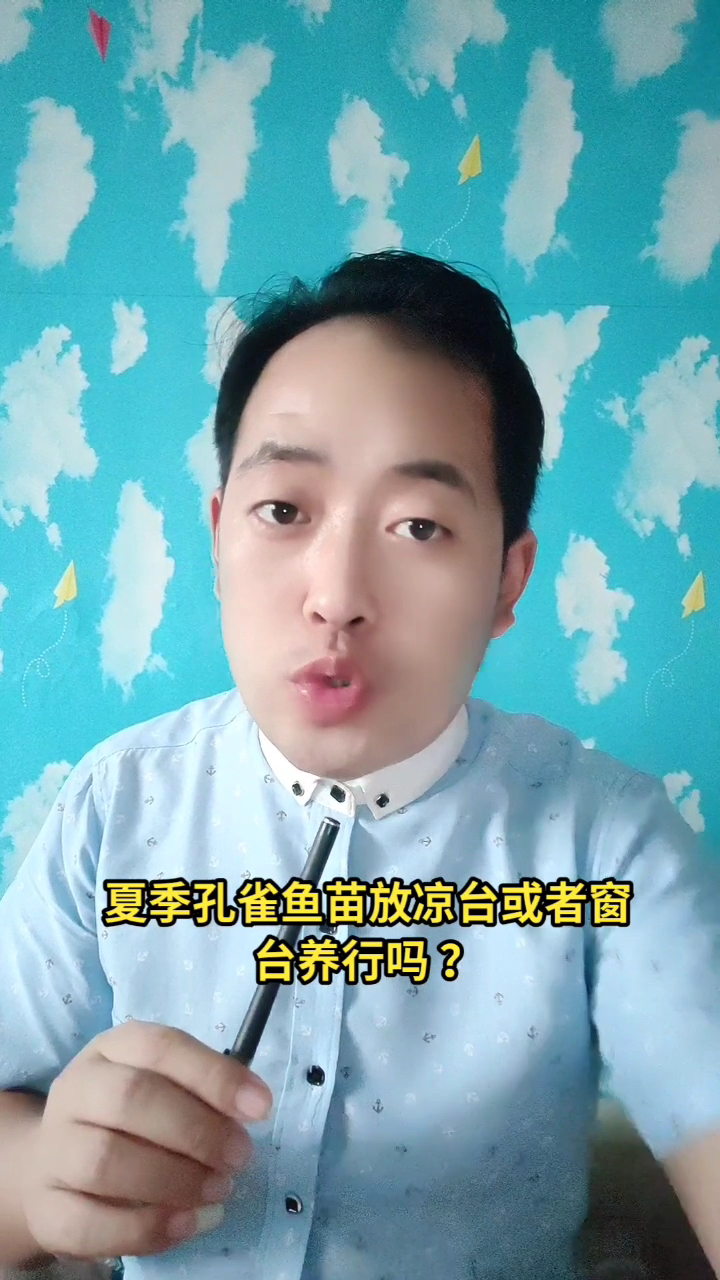 夏季孔雀鱼苗放凉台或者窗台养行吗 ?马上就告诉你了