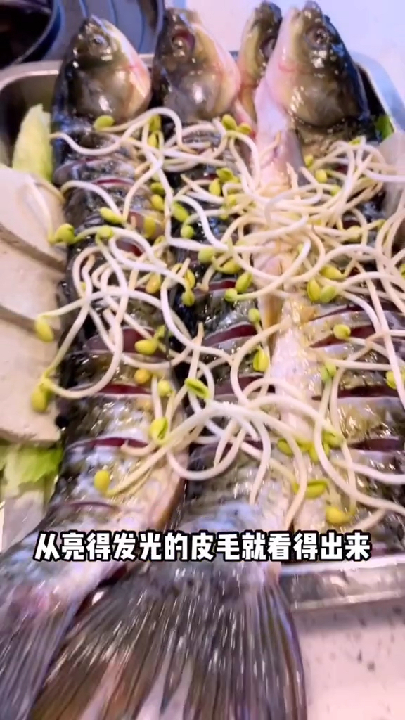 这里吃鱼,都是清水鱼,然后,爆酱豆腐随便吃。