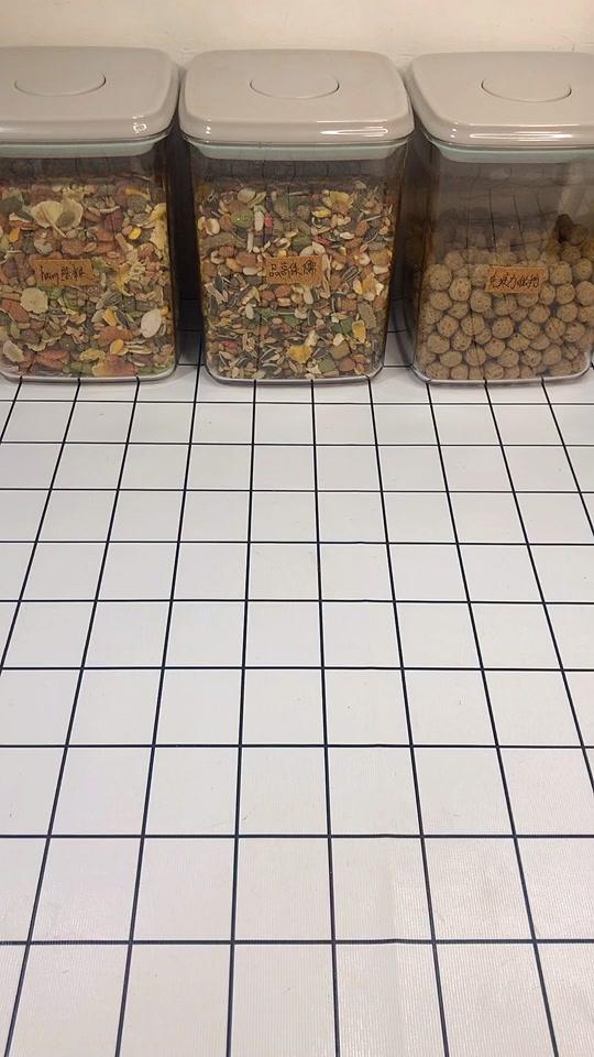 #仓鼠  #金丝熊 配粮来啦 我们家的小熊孩天天真能吃~