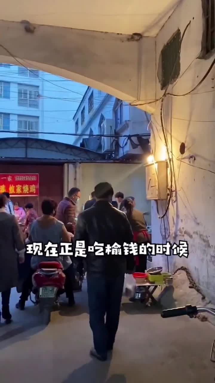 榆钱窝窝蘸辣椒蒜,这味道绝了!