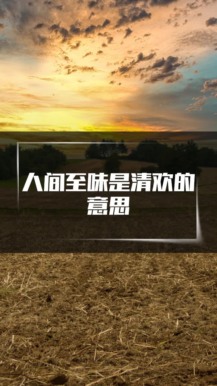 人间至味是清欢的意思