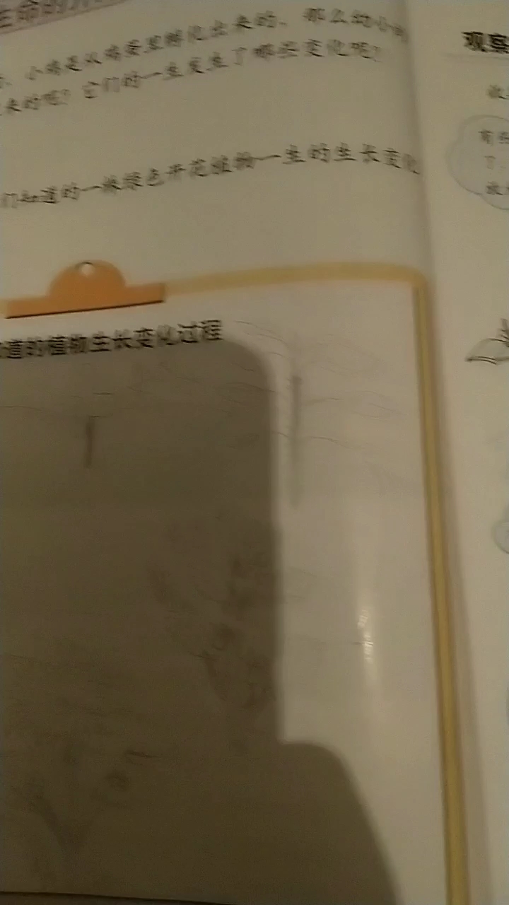 不会画你还要我怎样