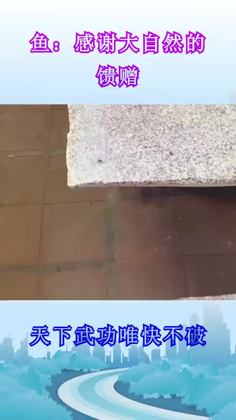 苍蝇:你练武我没意见,但是把我抓住,扔给鱼当食物是几个意思